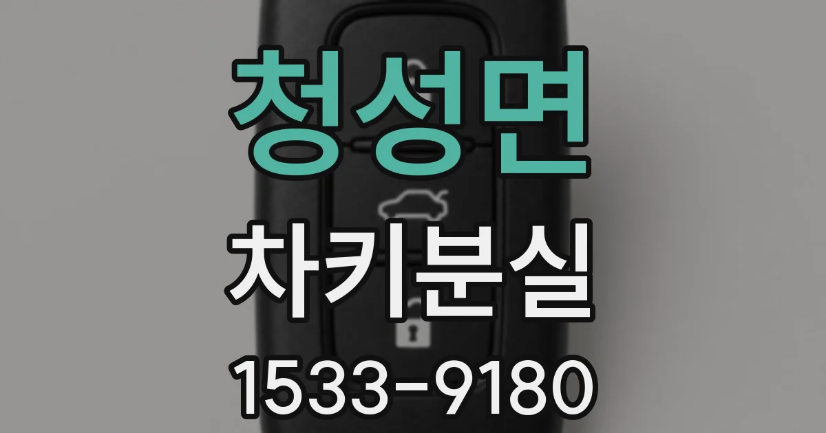 청성면 차키분실