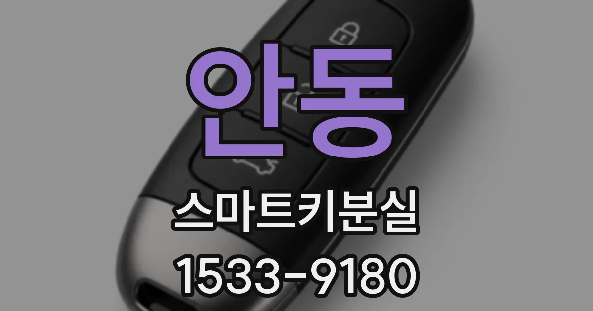 안동 스마트키분실