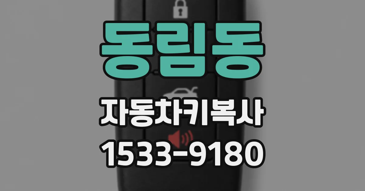 동림동 자동차키복사