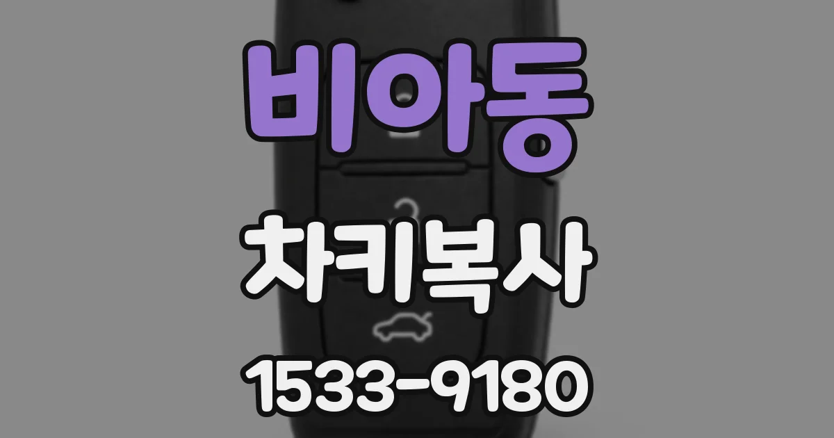 비아동 차키복사