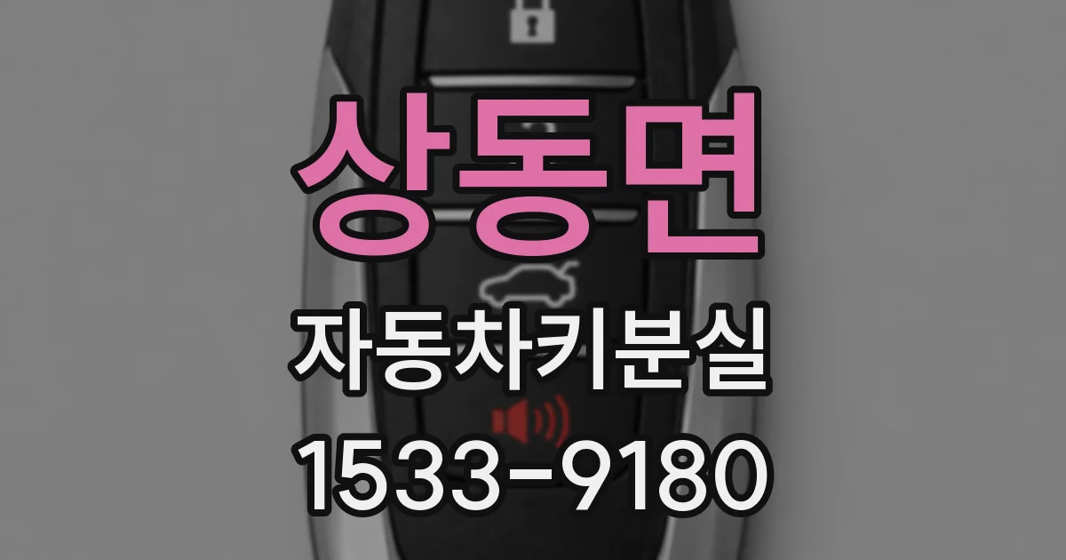 상동면 자동차키분실