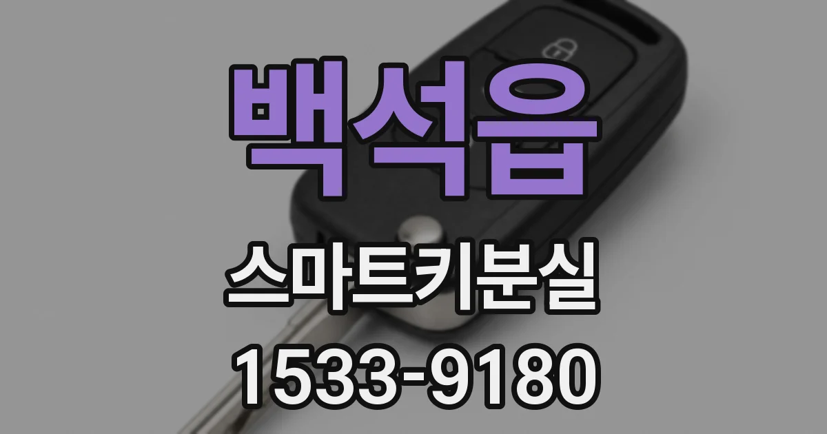 백석읍 스마트키분실