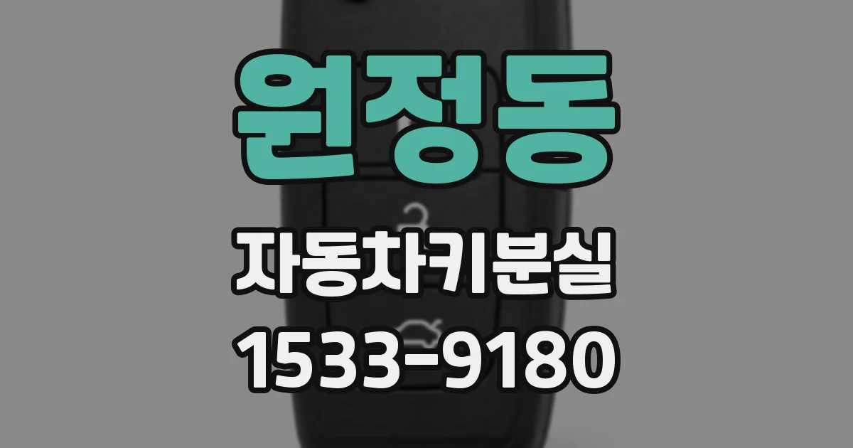 원정동 자동차키분실