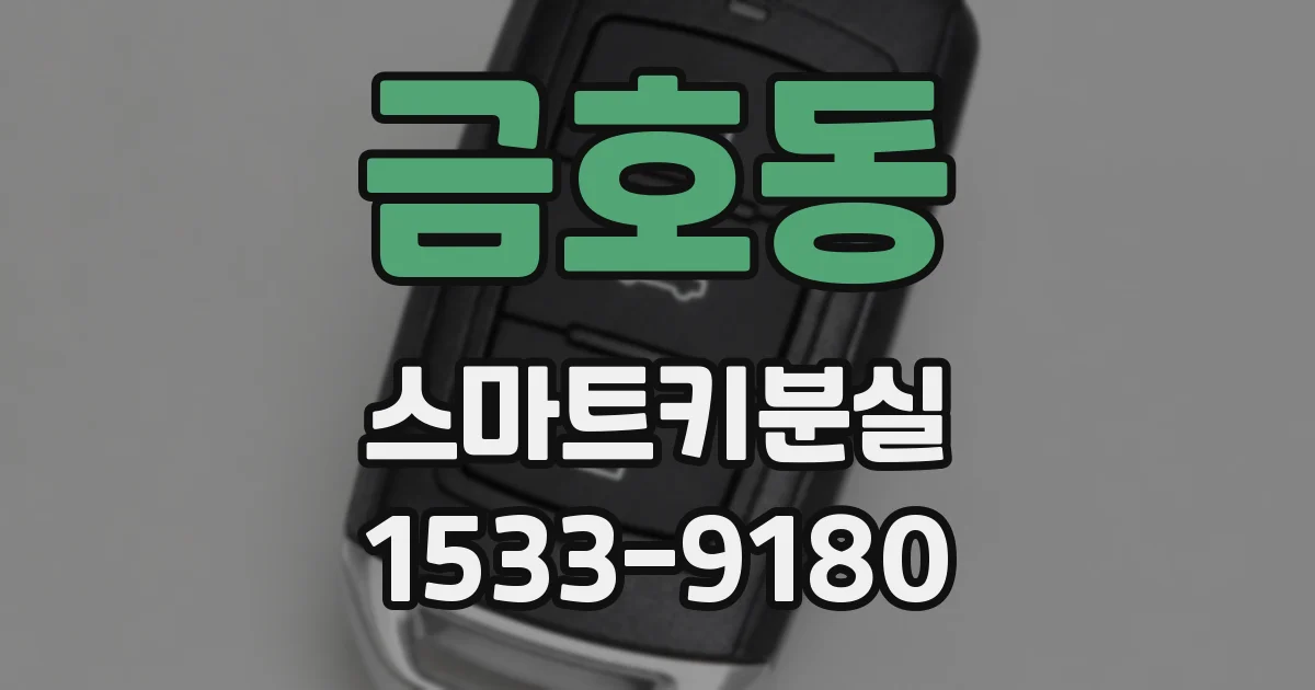 금호동 스마트키분실