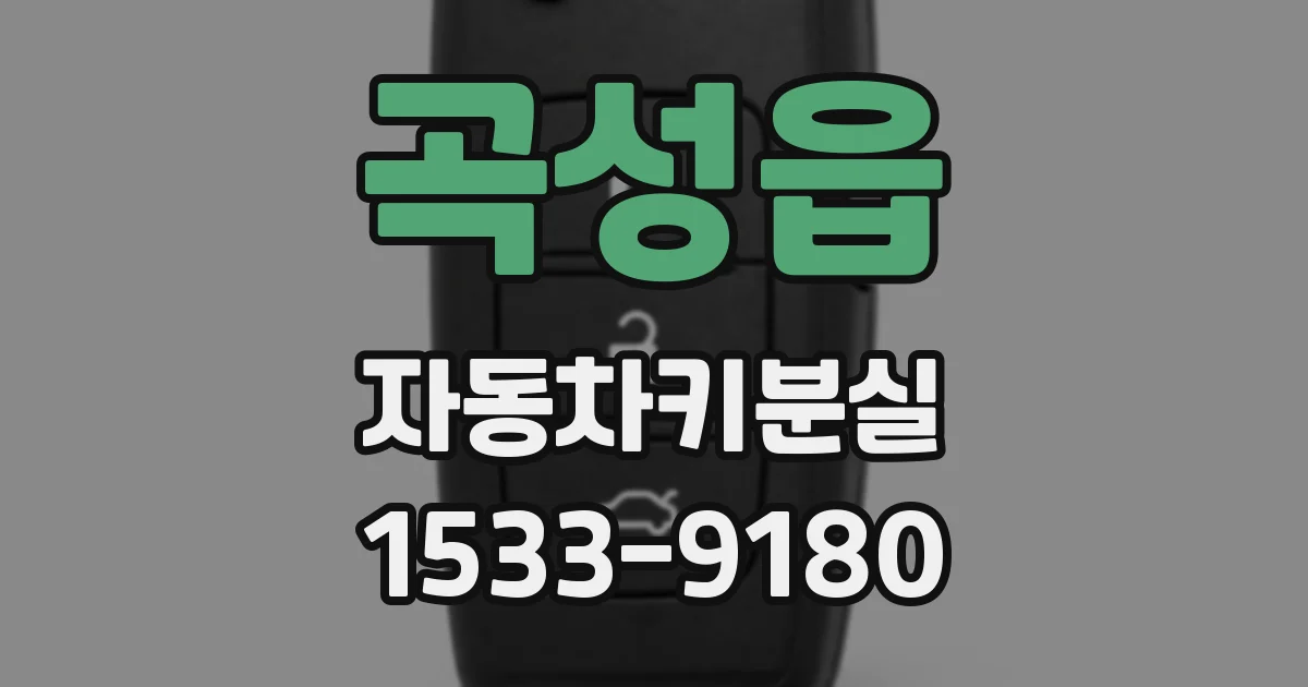 곡성읍 자동차키분실