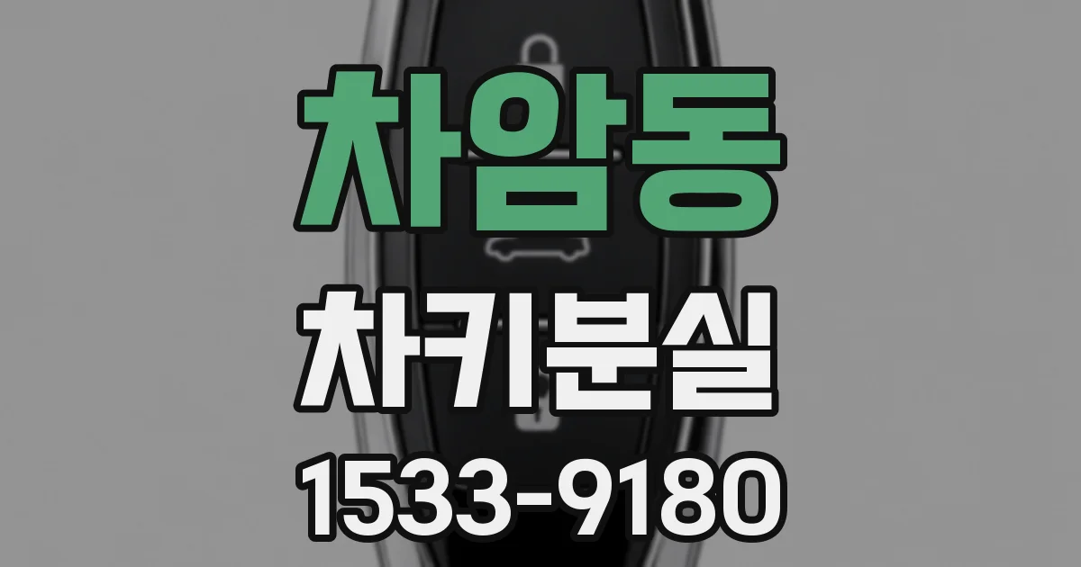 차암동 차키분실
