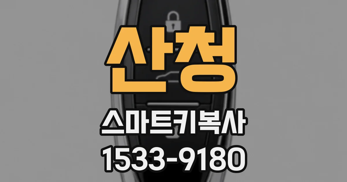 산청 스마트키복사