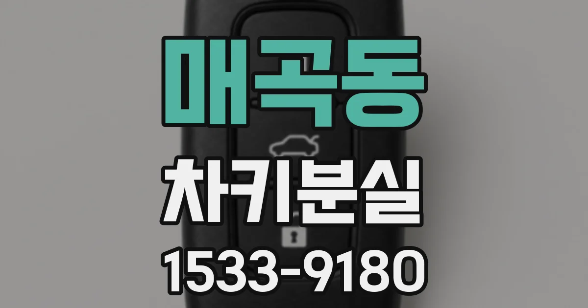 매곡동 차키분실
