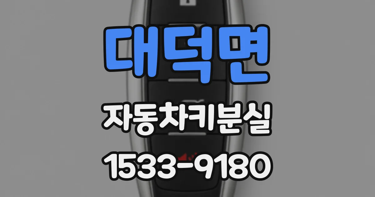 대덕면 자동차키분실