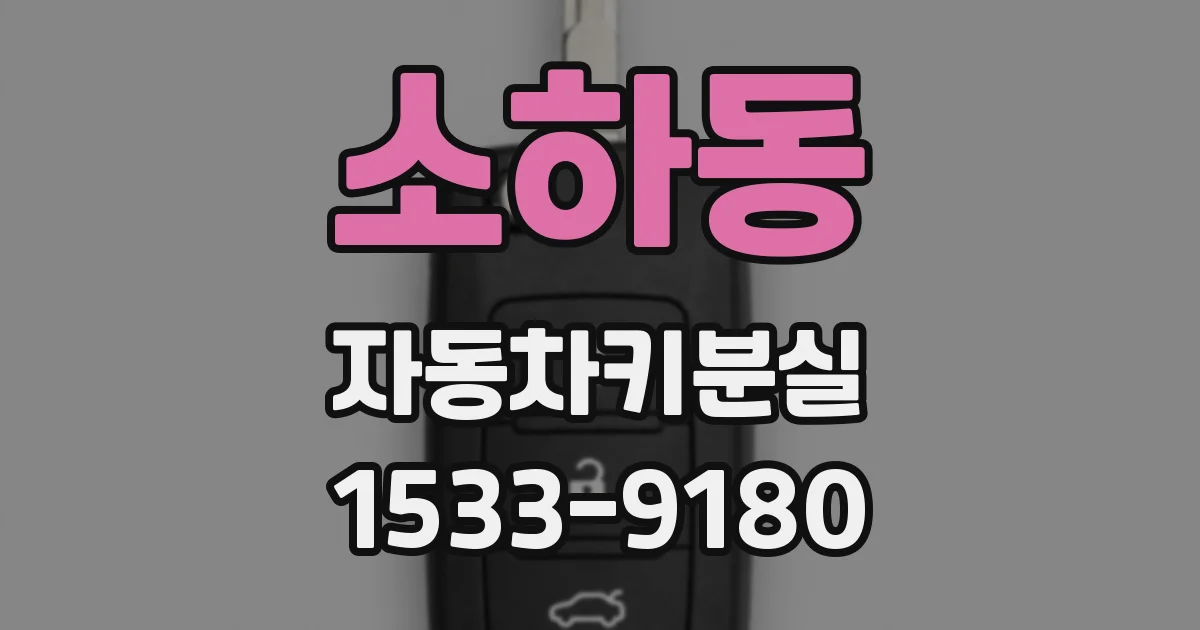 소하동 자동차키분실