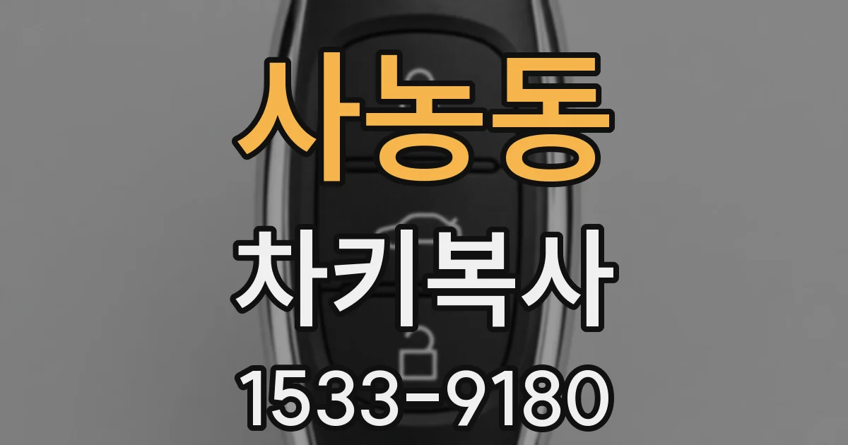 사농동 차키복사