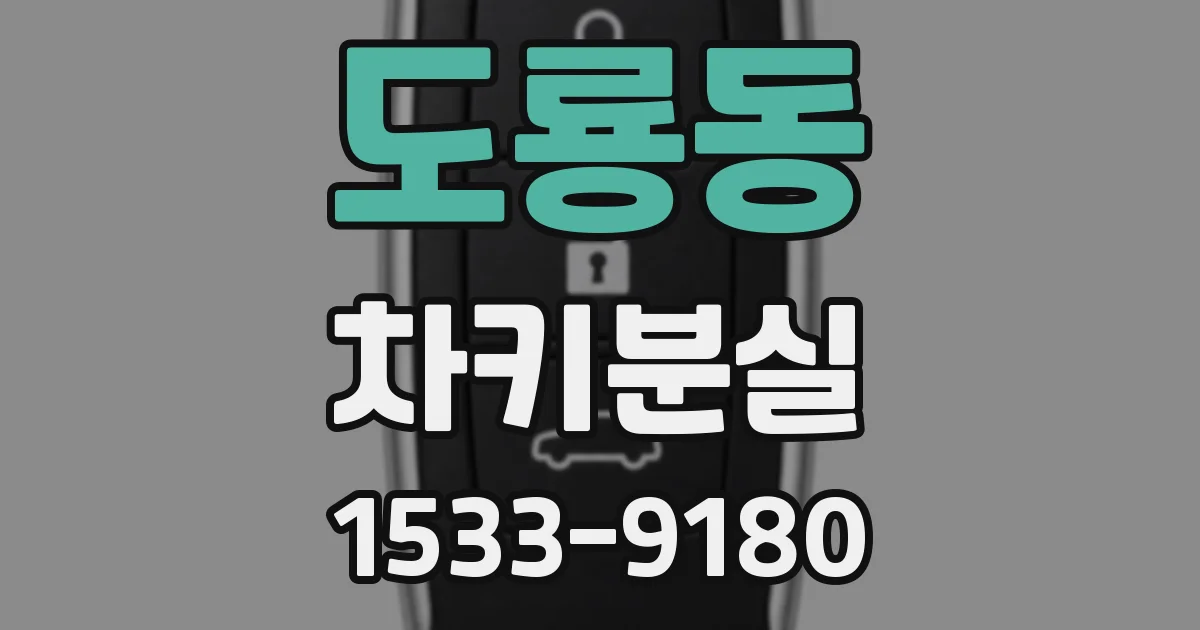 도룡동 차키분실