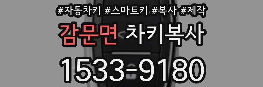 감문면 차키복사