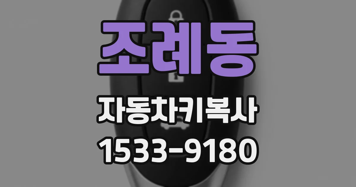 조례동 자동차키복사