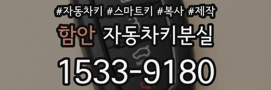 함안 자동차키분실