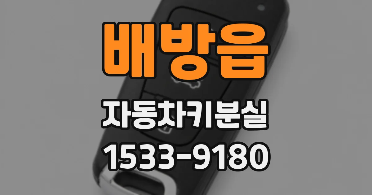 배방읍 자동차키분실