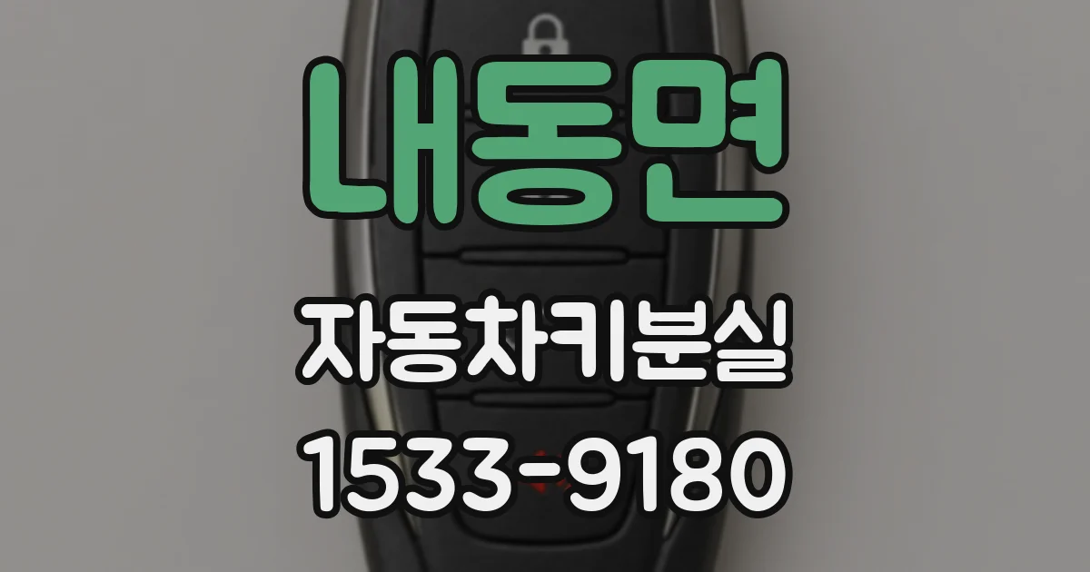 내동면 자동차키분실