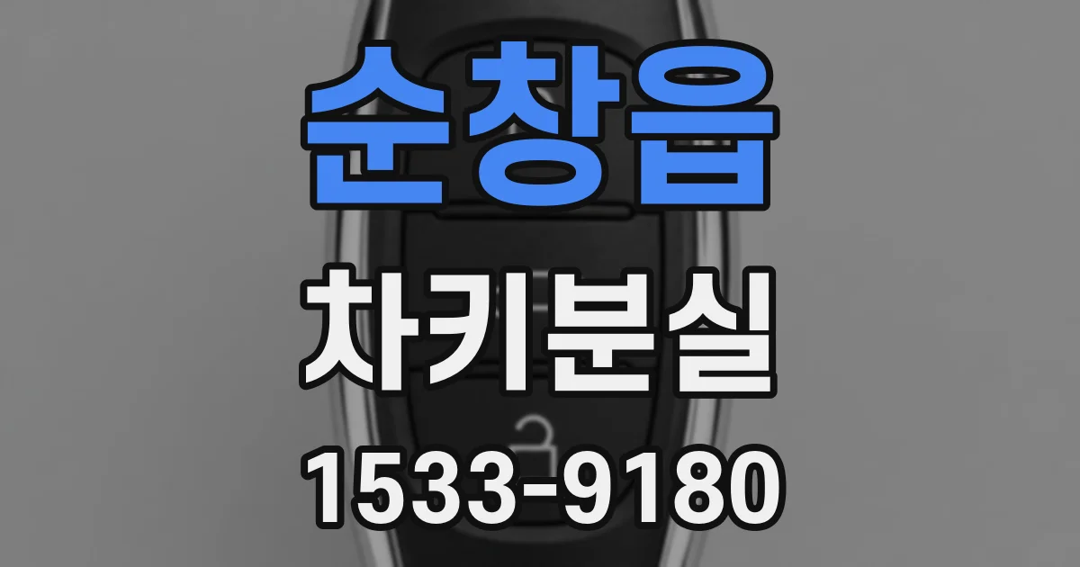 순창읍 차키분실