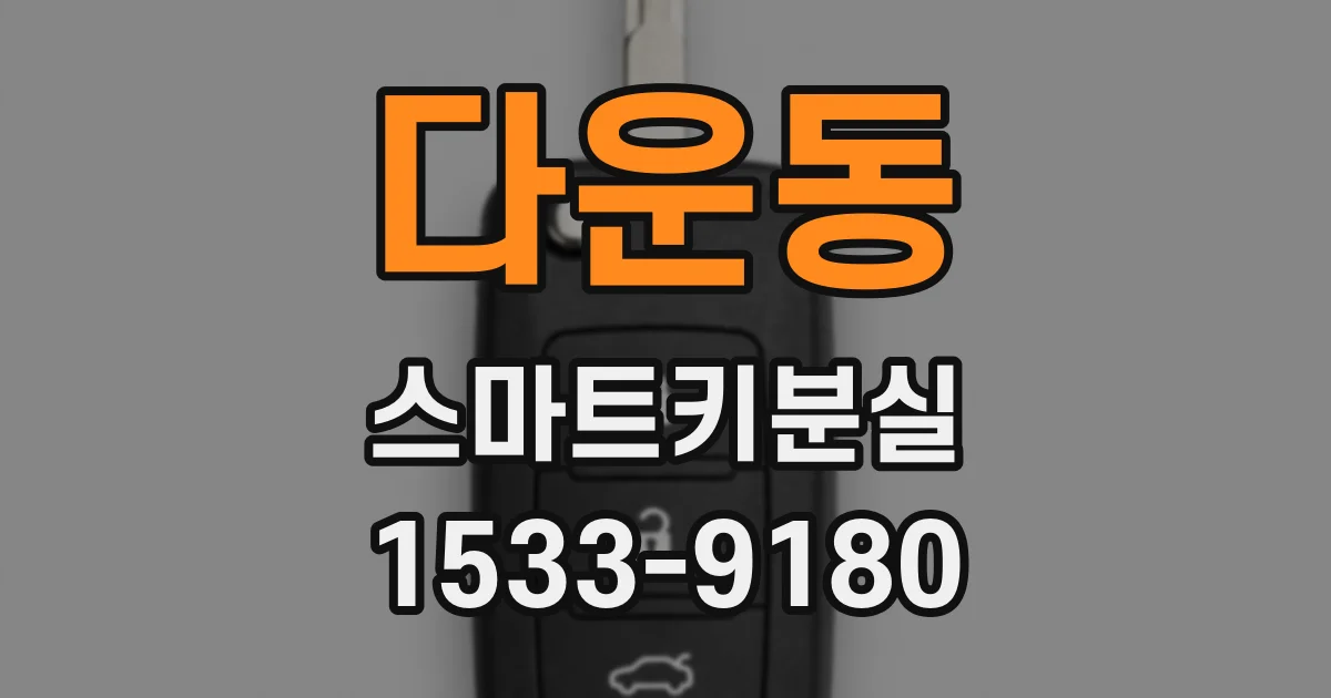 다운동 스마트키분실