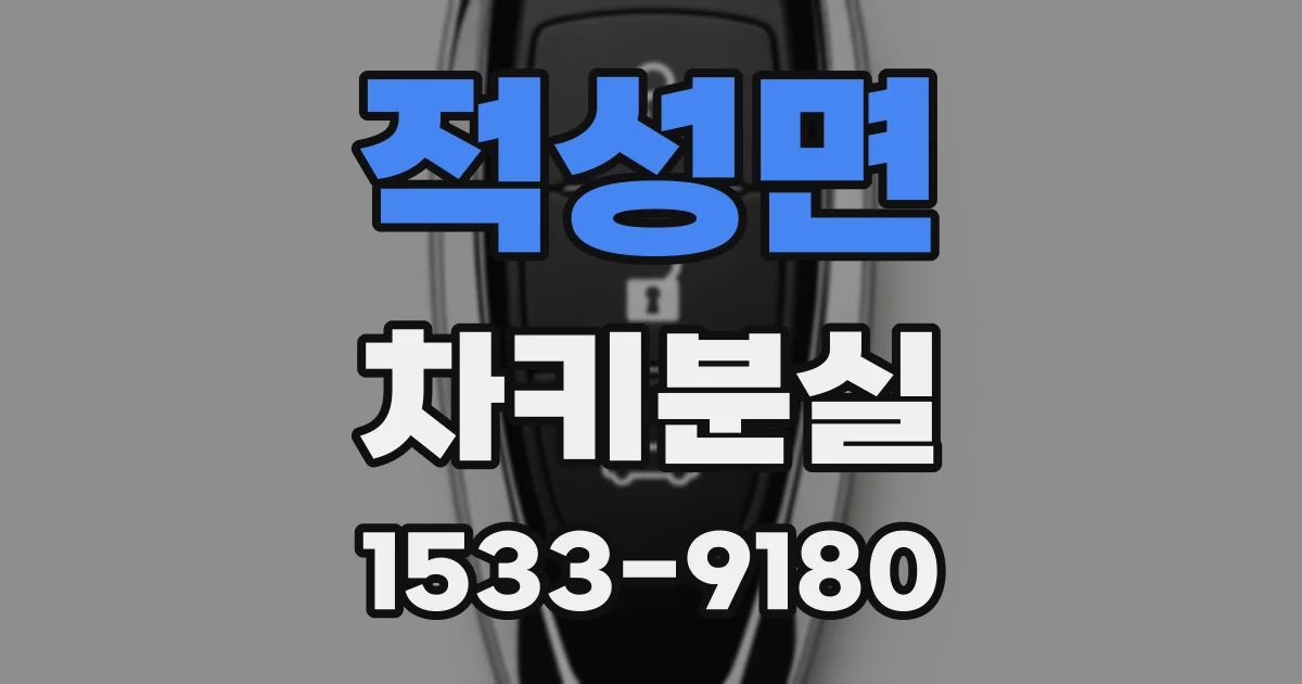 적성면 차키분실