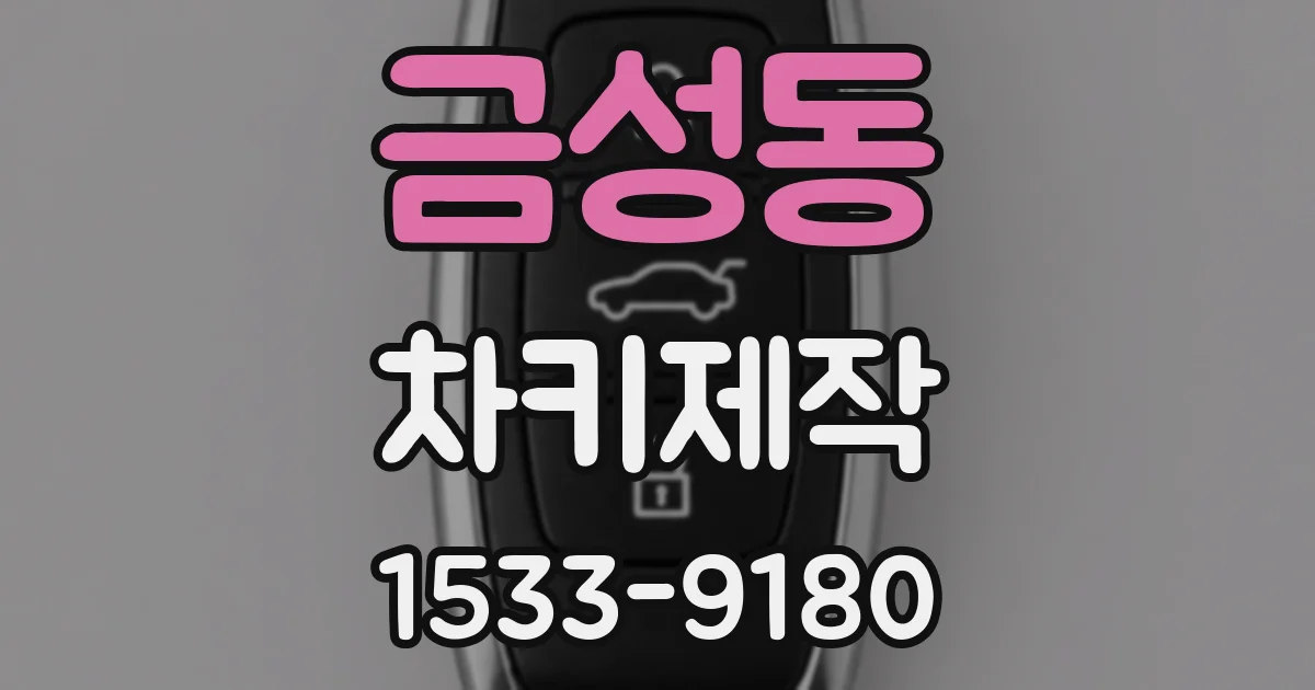 금성동 차키제작