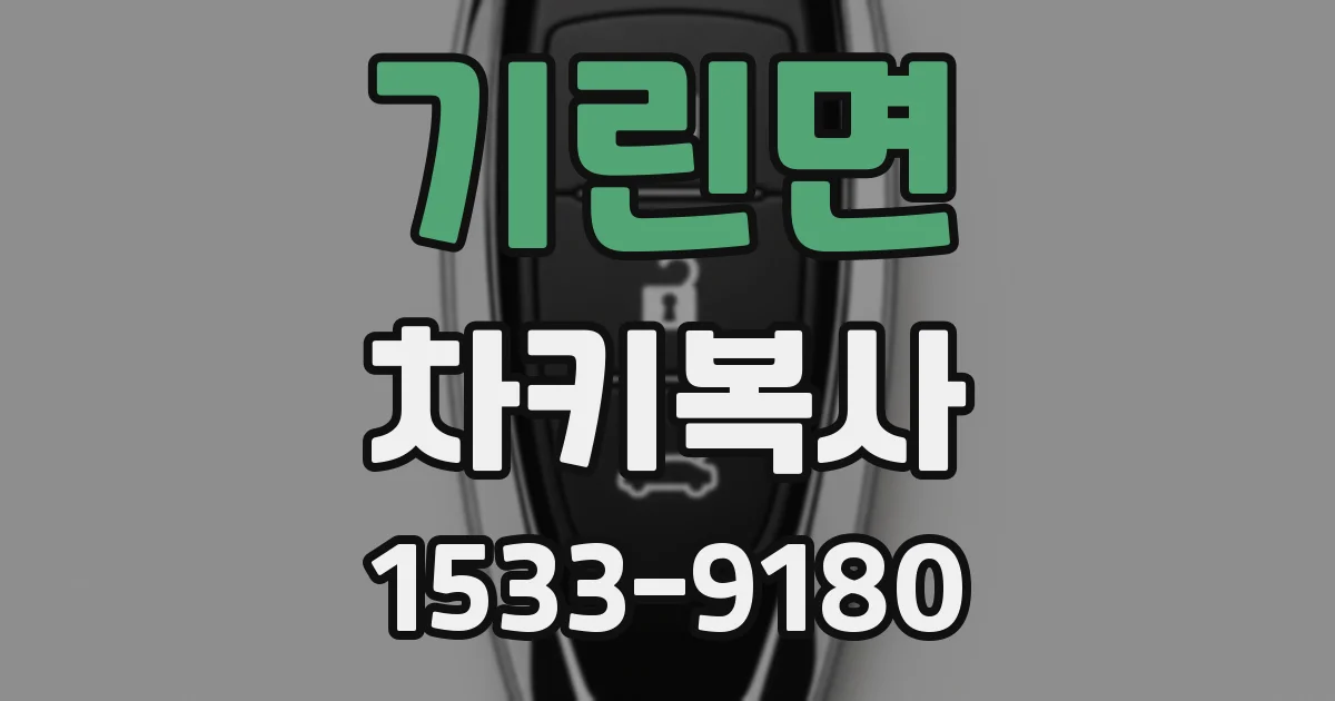 기린면 차키복사
