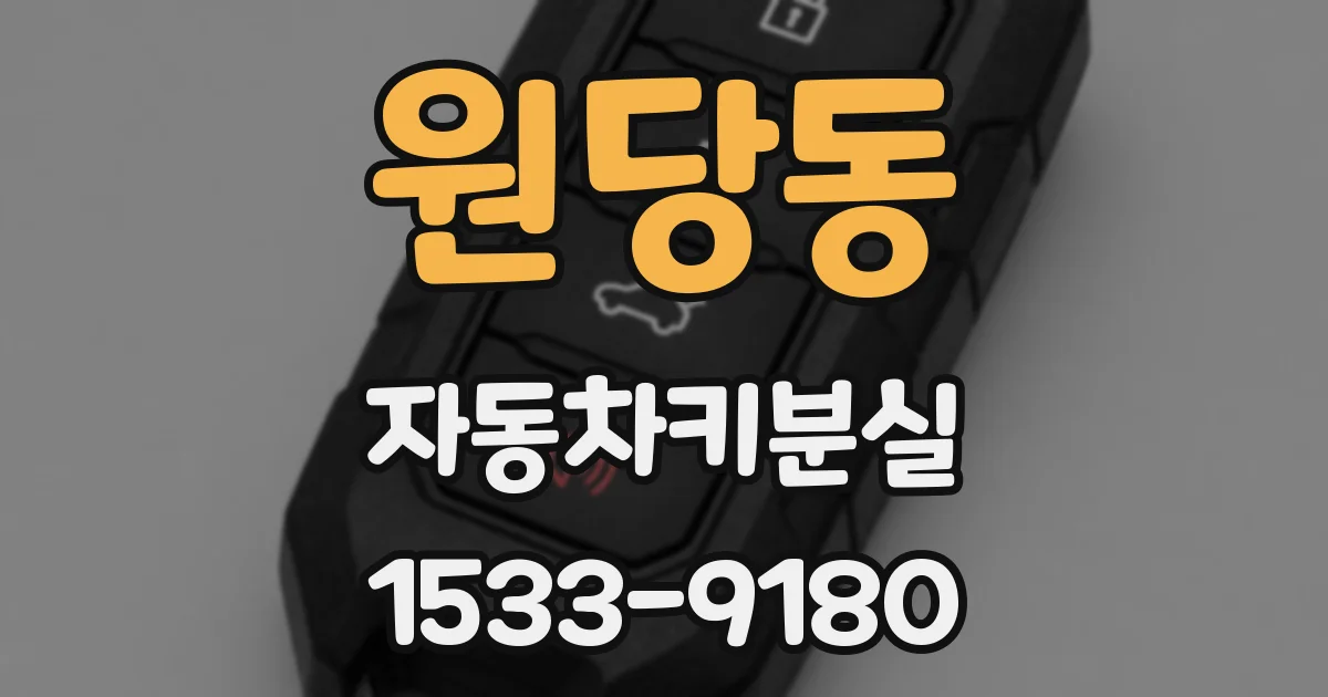 원당동 자동차키분실
