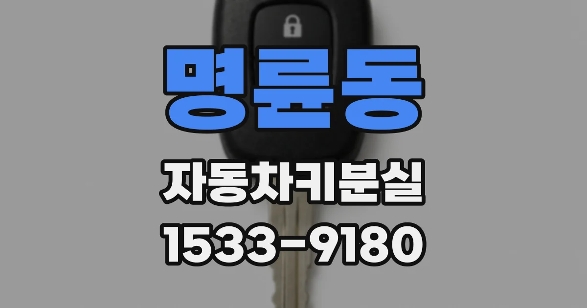 명륜동 자동차키분실