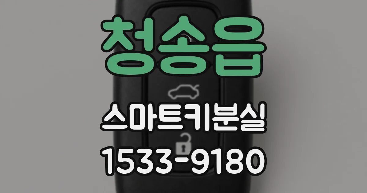 청송읍 스마트키분실