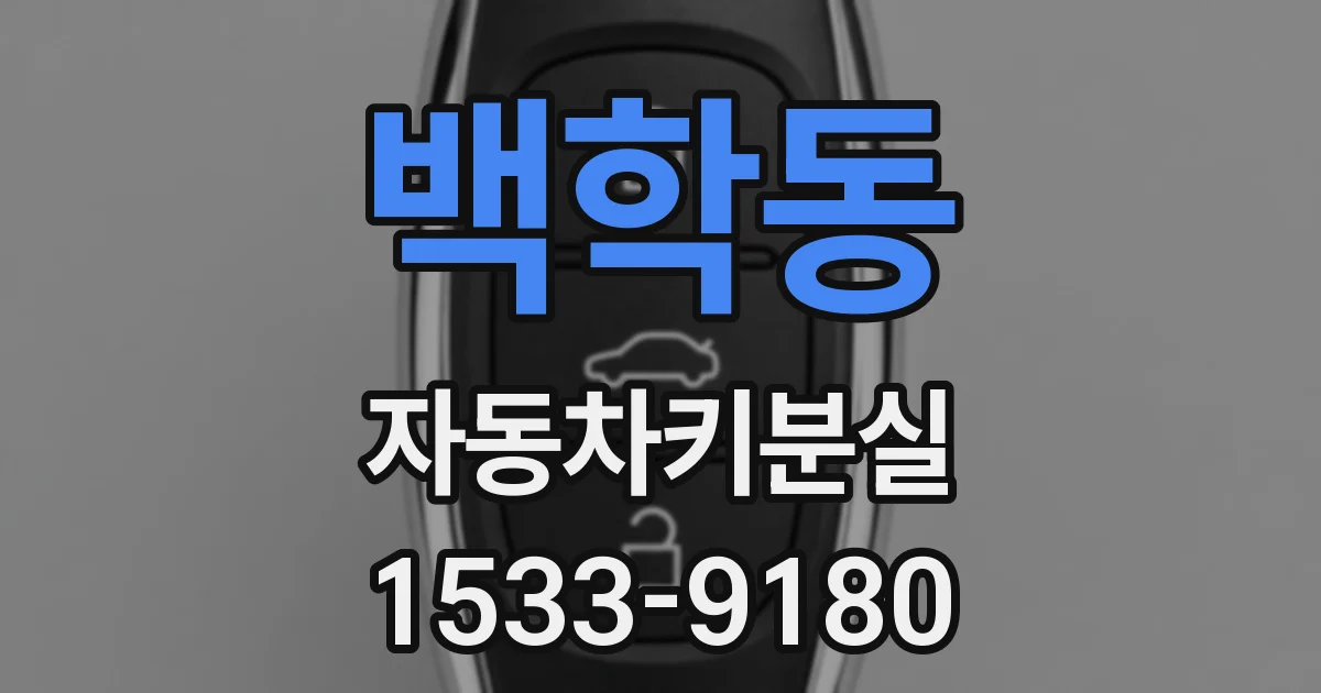 백학동 자동차키분실