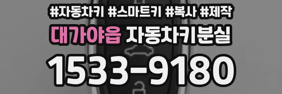 대가야읍 자동차키분실