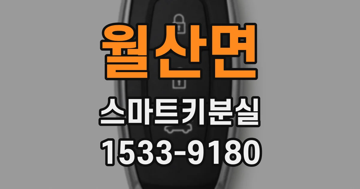 월산면 스마트키분실