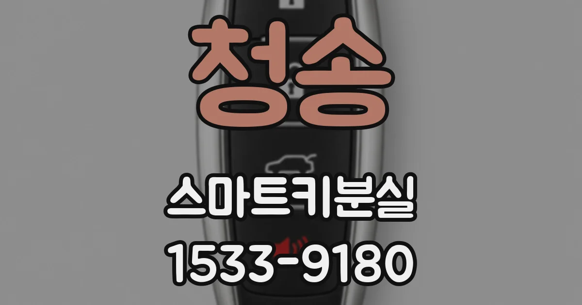 청송 스마트키분실