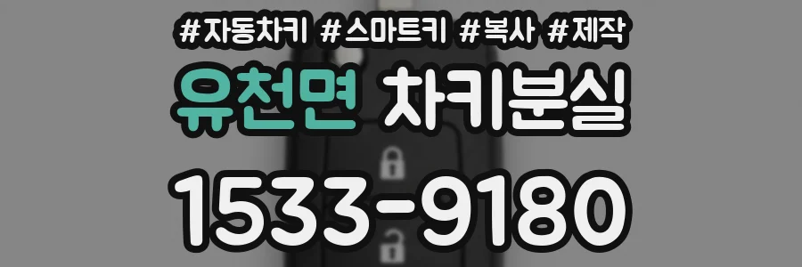 유천면 차키분실
