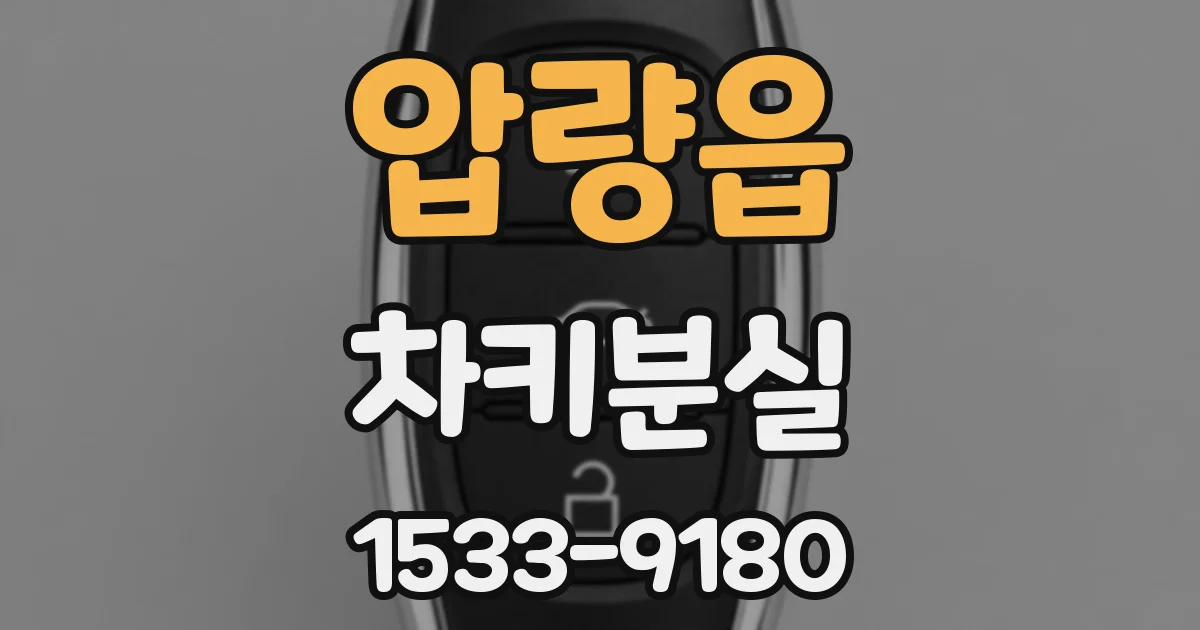 압량읍 차키분실