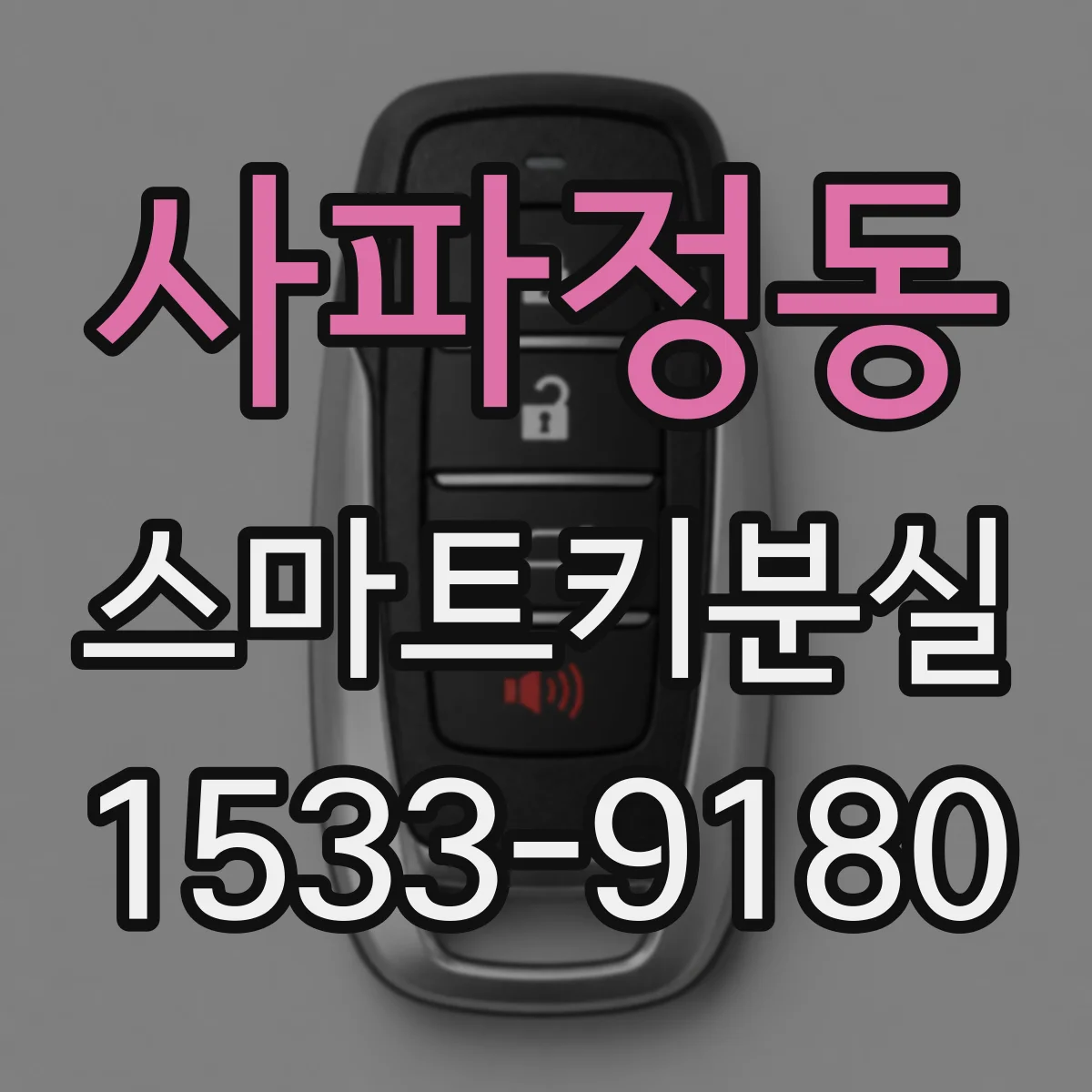 사파정동 스마트키분실