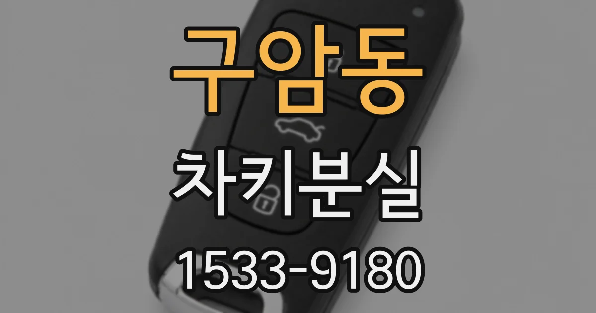 구암동 차키분실
