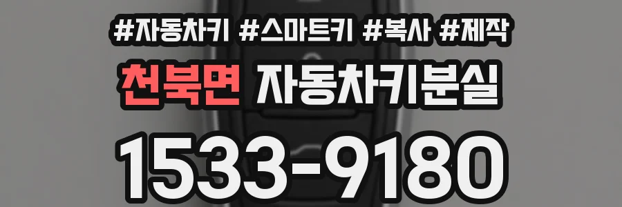천북면 자동차키분실