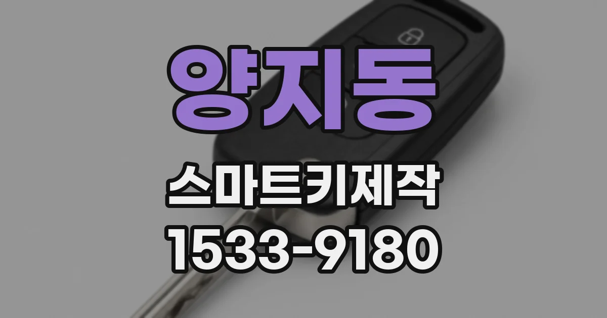 양지동 스마트키제작