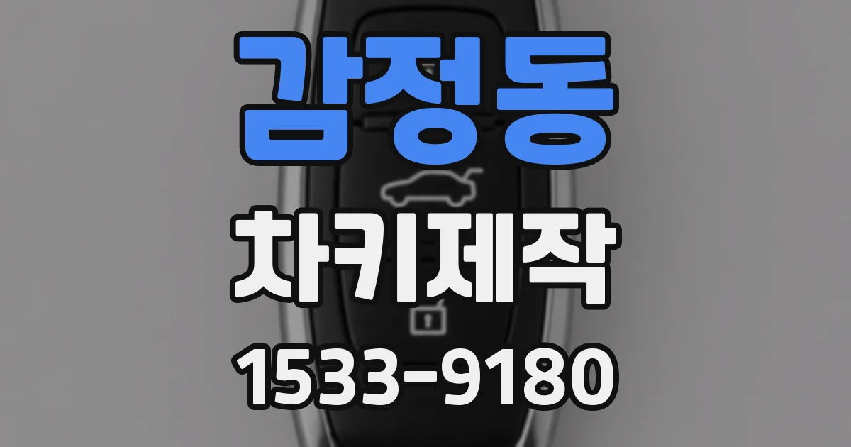 감정동 차키제작