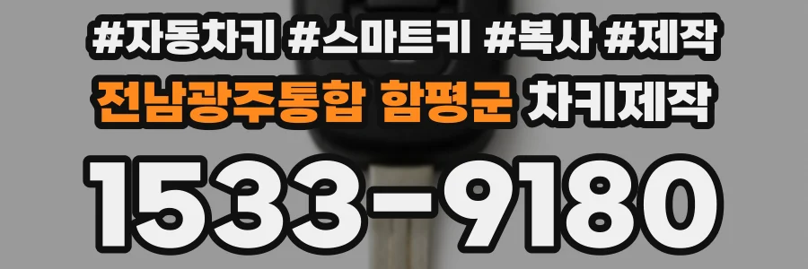 전남광주통합 함평군 차키제작