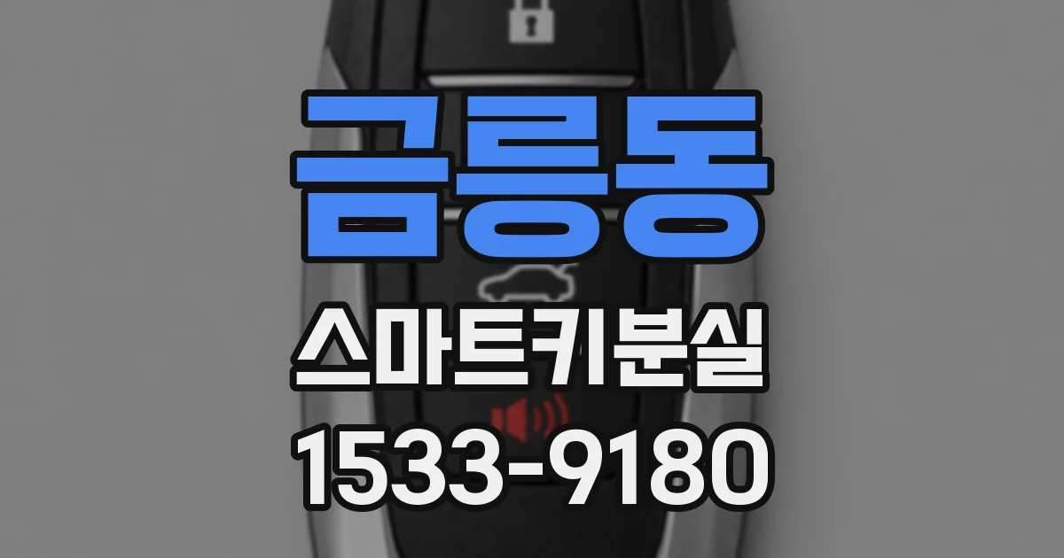 금릉동 스마트키분실