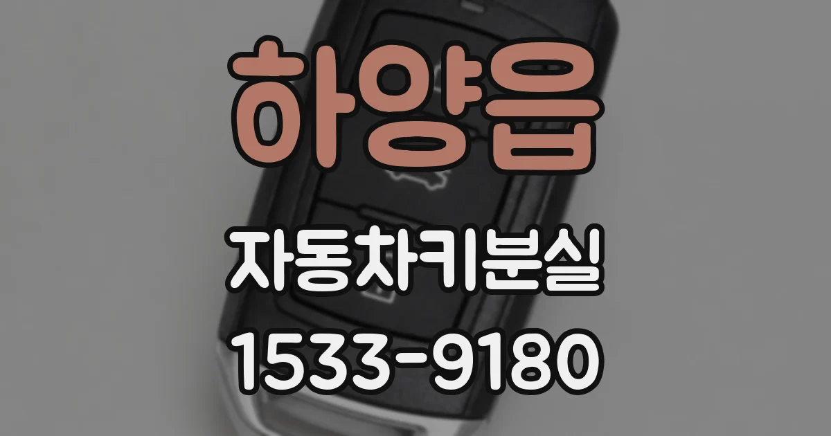하양읍 자동차키분실
