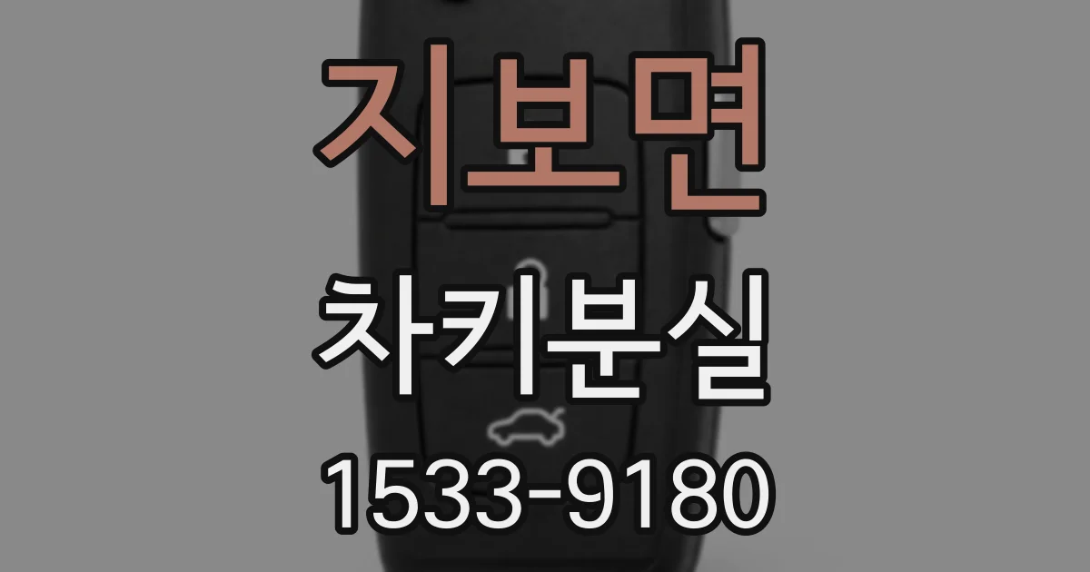 지보면 차키분실