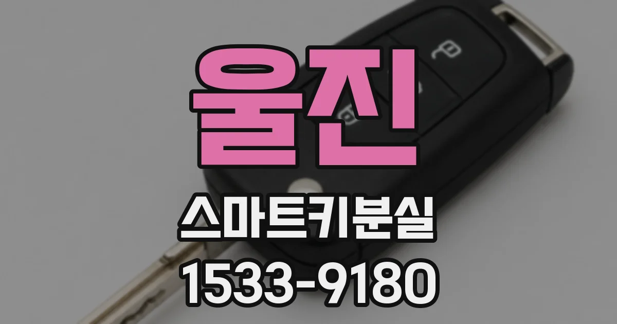울진 스마트키분실