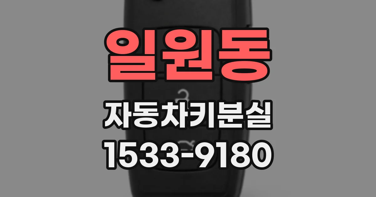 일원동 자동차키분실