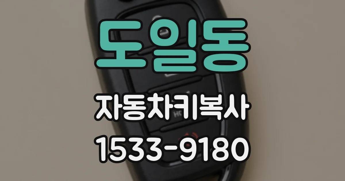 도일동 자동차키복사