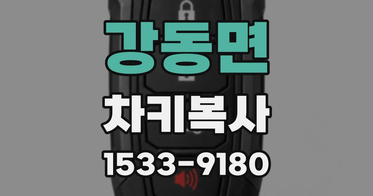 강동면 차키복사