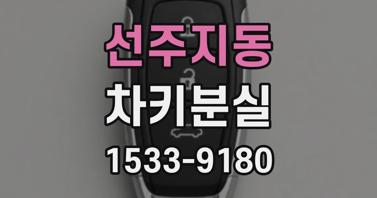 선주지동 차키분실