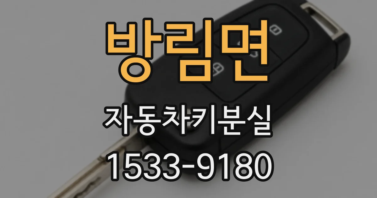 방림면 자동차키분실